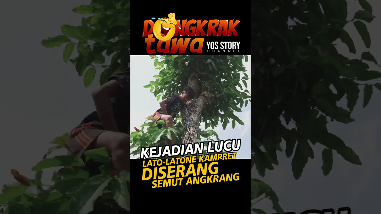 DONGKRAK TAWA: Film Pendek Lucu & Heboh Semut 🐜