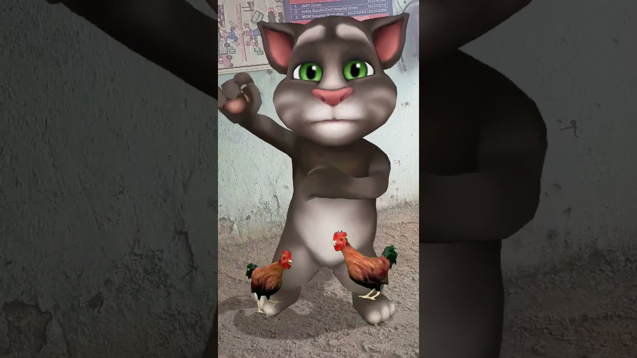 Adorable Dog & Tom Cat's Hilarious Viral Dance 🐶🐱