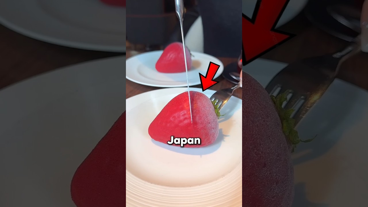 3 Surprising Things in Japan That Just Make Sense 🇯🇵