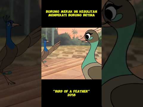 Burung Merak Kesulitan Dekati Betina π¦