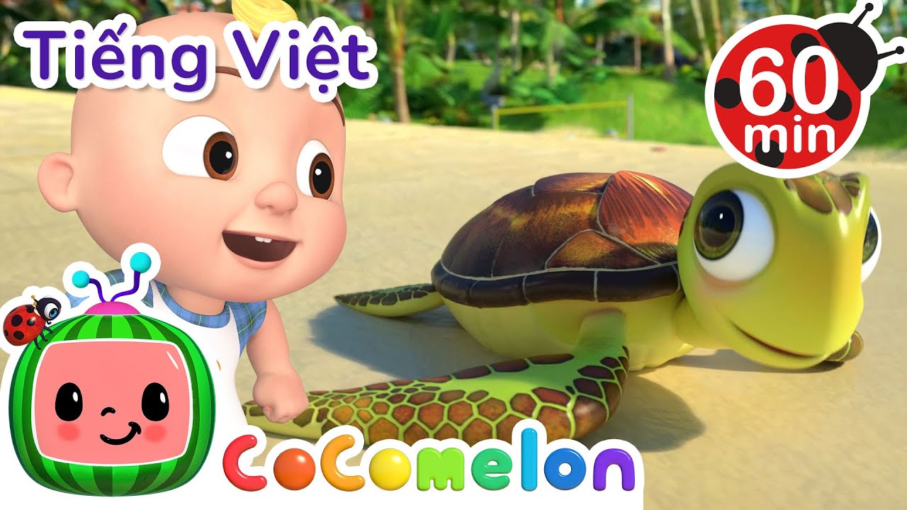 Bài Hát Động Vật Biển | Dành Cho Trẻ Em 🐠