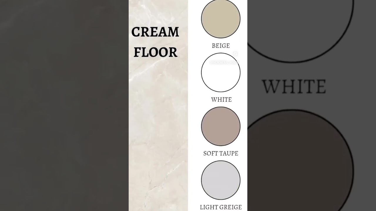 Perfect Floor & Wall Color Combinations 🎨