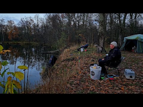 Лещ на Фидер в Октябре! Рыбалка с Ночевкой на Реке Друть! Лещи на Друти. Рыбалка на Леща.