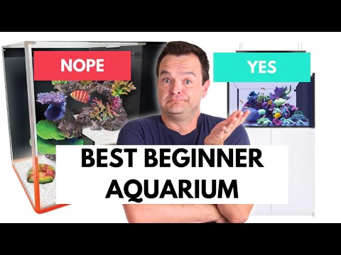 Ultimate Guide: Choosing the Perfect Saltwater Aquarium Size for Beginners 🐠