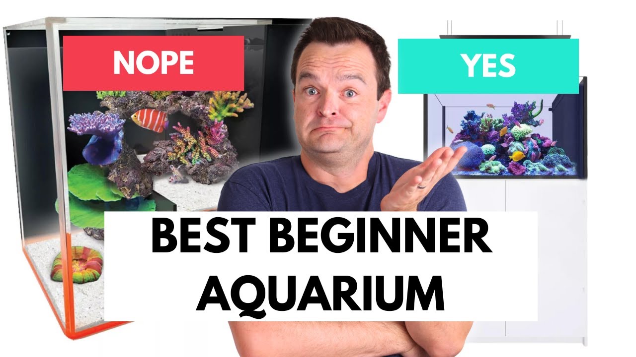 Ultimate Guide: Choosing the Perfect Saltwater Aquarium Size for Beginners π