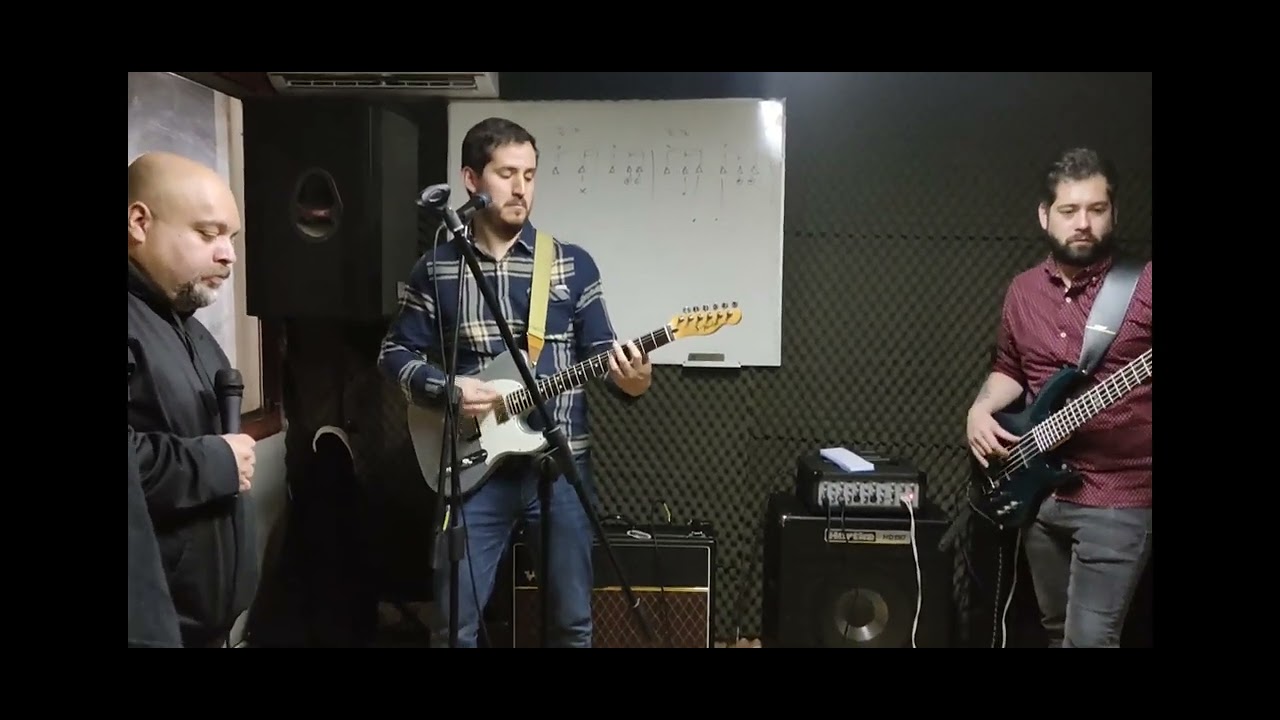 Callampa Seca: La Yeta del Bosque 🍄