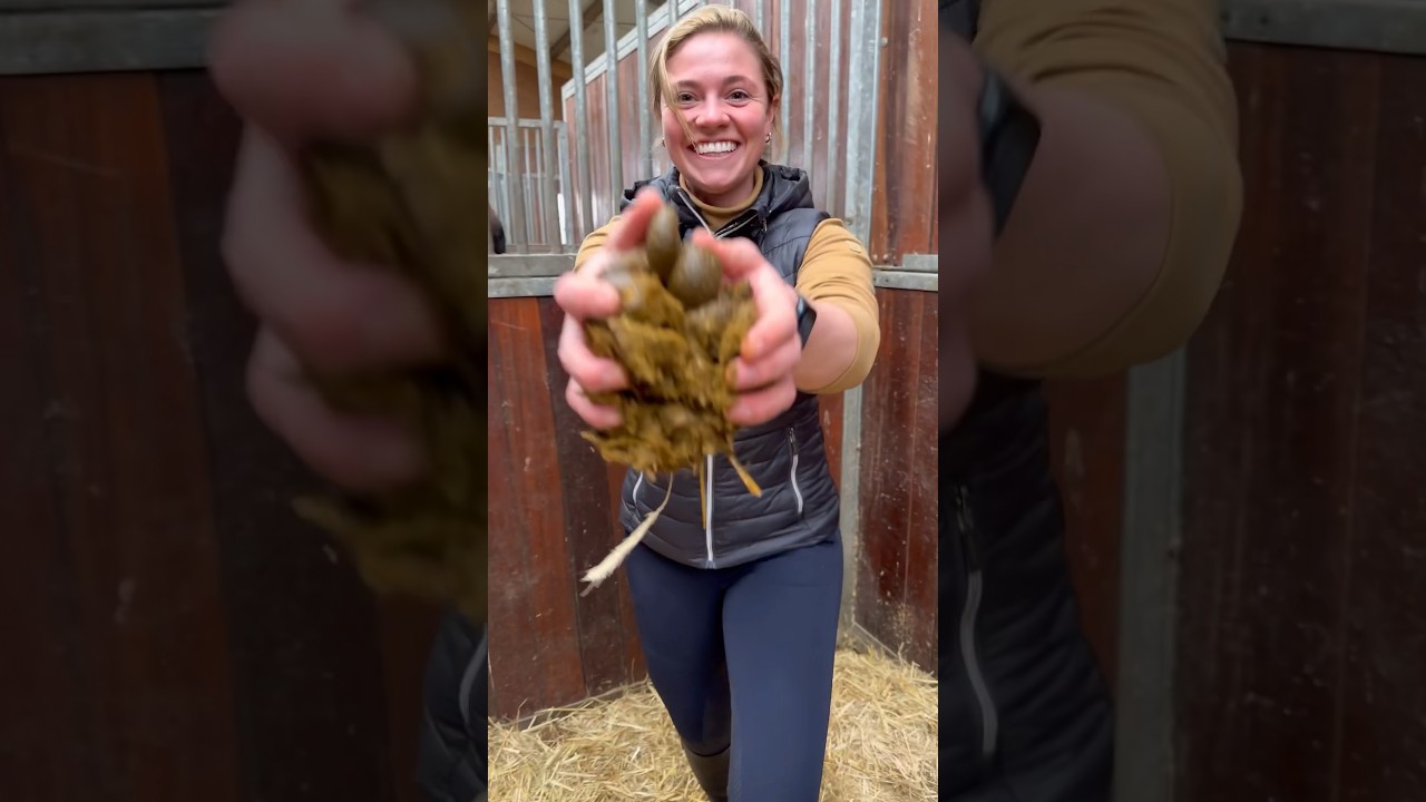 Pferdehofliebe: Äppel in der Tränke! 🐴