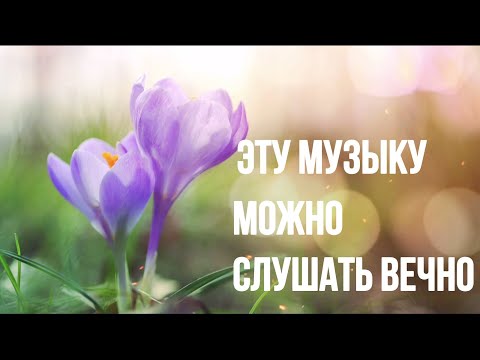 ЭТУ МУЗЫКУ МОЖНО СЛУШАТЬ ВЕЧНО. Цветы. Сергей Чекалин. Музыка для души и сердца.