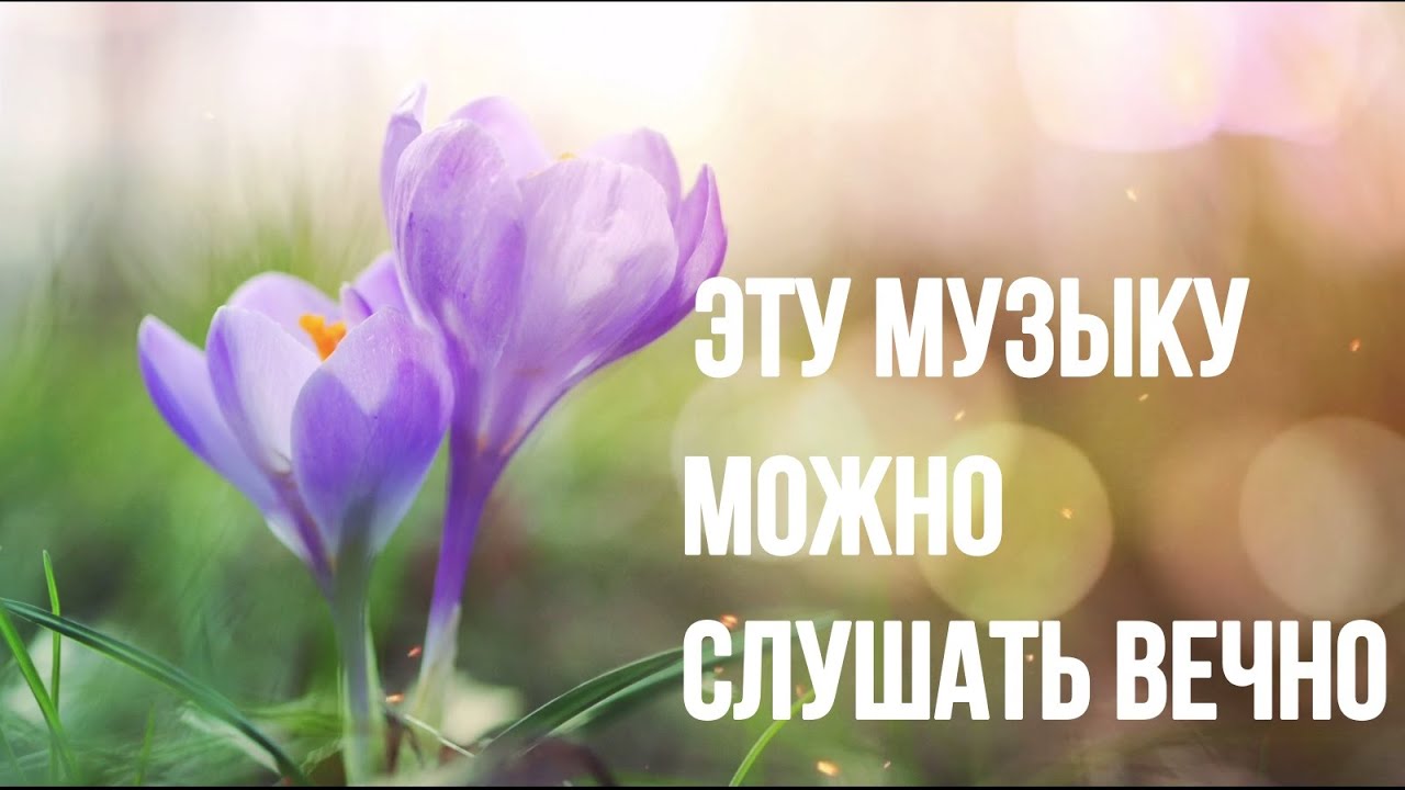 Цветы — Музыка для Души и Сердца 🌸 — Сергей Чекалин