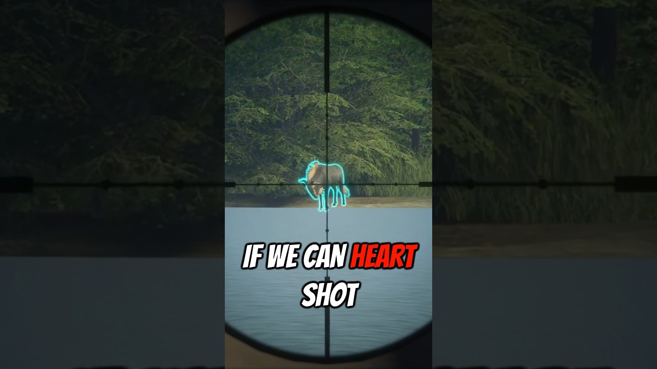 Rare Crowned & Diamond Wildebeest Spotted at Same Lake 🦌