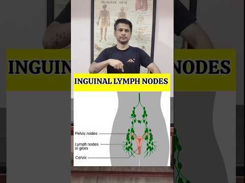 Best Exercise for Swollen Lymph Node in Groin Region Relief #shorts #tranding