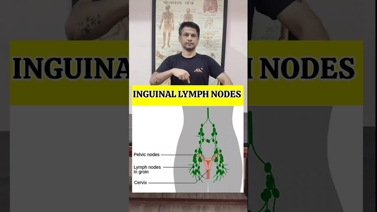 Effective Exercises to Relieve Swollen Groin Lymph Nodes πͺ