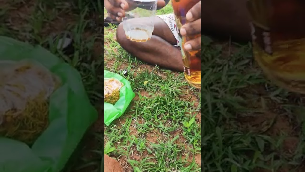 Chivas Regal 12-Year-Old Whiskey Since 1801 🥃