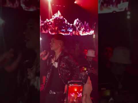 Gata only - Cris MJ - live (en vivo)