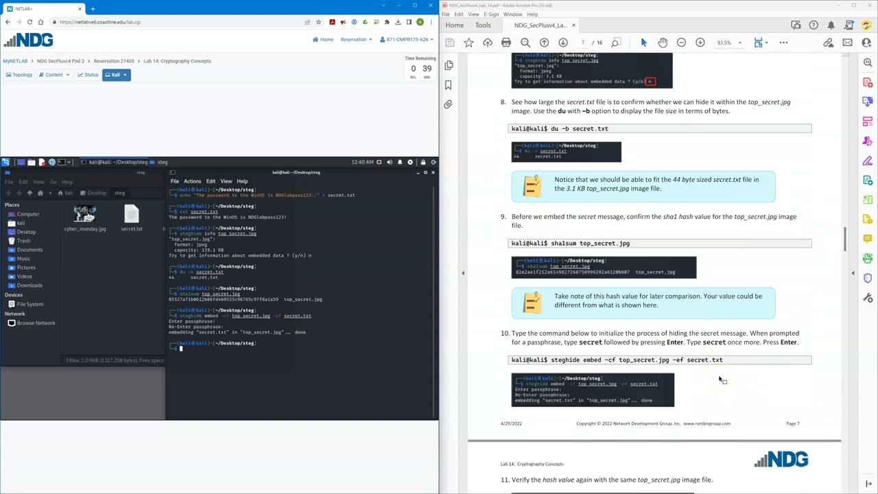 CompTIA Security+ Lab 14: Cryptography - Concealing Messages in Images