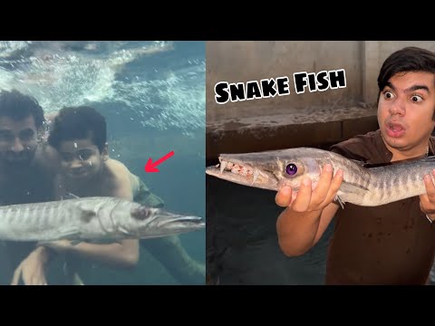 Talab Mein Sy Snake Fish Pakar Li 😱 Bht Bari Ha 