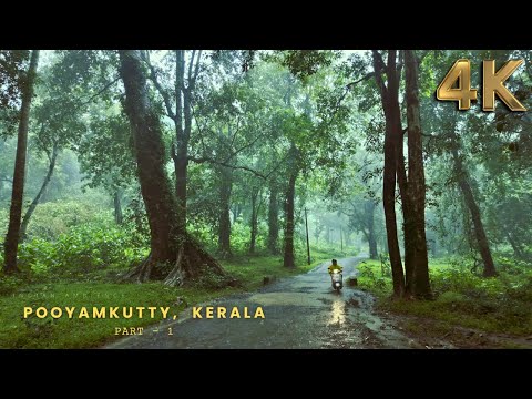 [4K] Walking in a Forest Village in Heavy Rain ☔ | Pooyamkutty, Kerala | Monsoon Ambience Walk