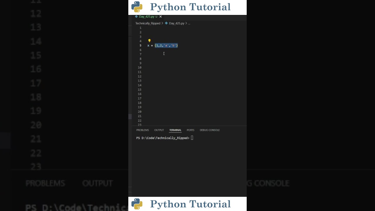 Master Python Tuples: Easy Step-by-Step Tutorial for Beginners 🐍