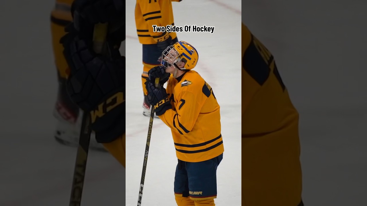 Two Sides Of Hockey🏒🏆 #hockey #hockeyplayers #shorts