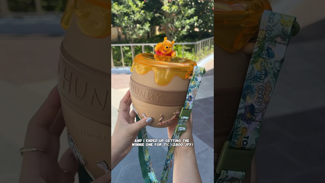 Tokyo Disneyland Expenses Breakdown ๐ฏ๐ต