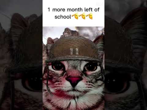 We can do it #edit #endofschoolyear #yes #viralshorts #lessgo #letsgo