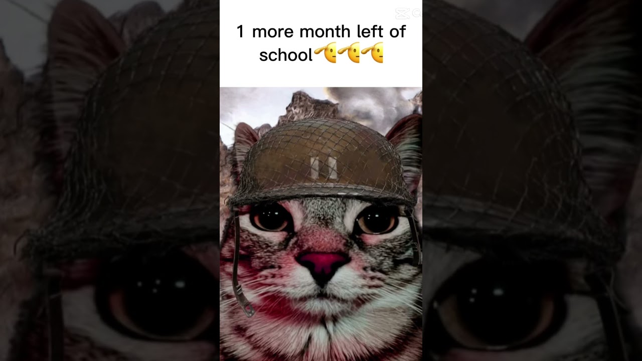 We Can Do It! 🎉 End of School Year Celebration