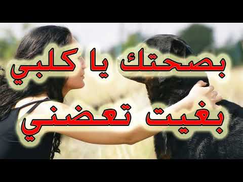 اغنية عن غدر الصديق شيخ شعيب بصحتك يا كلبي بغيت تعضني