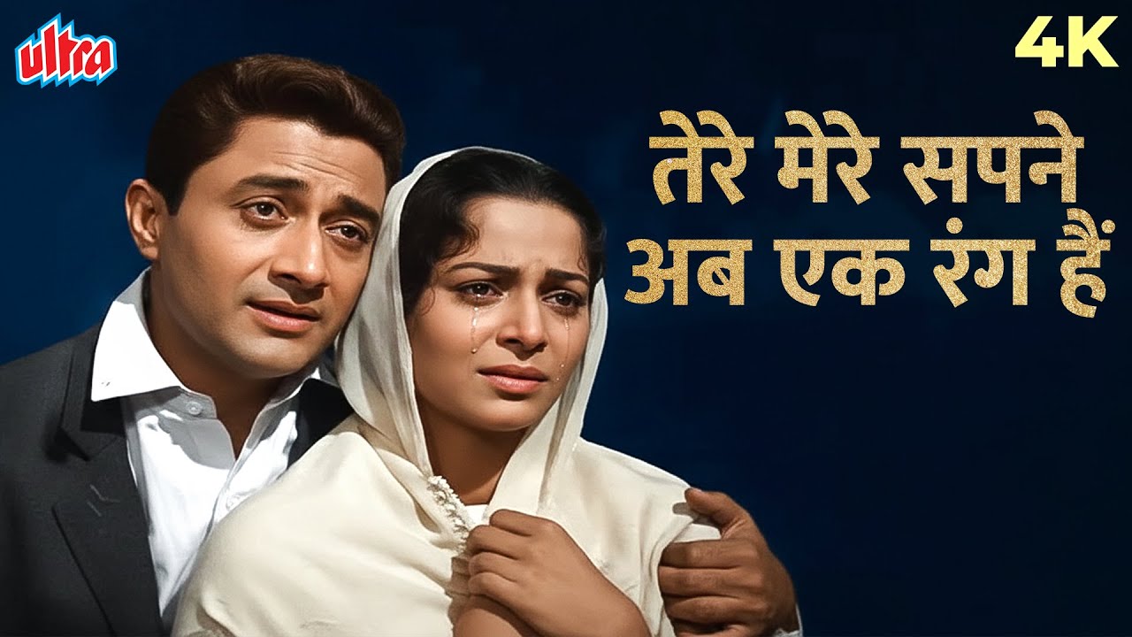 Tere Mere Sapne Ab Ek Rang Hain | Guide (1965) | Mohd. Rafi | Dev Anand, Waheeda Rehman | हिंदी गाने