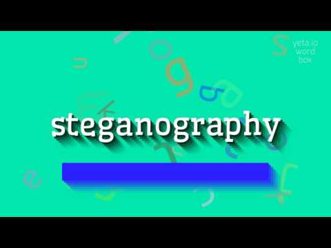 How to say "steganography"! (High Quality Voices)