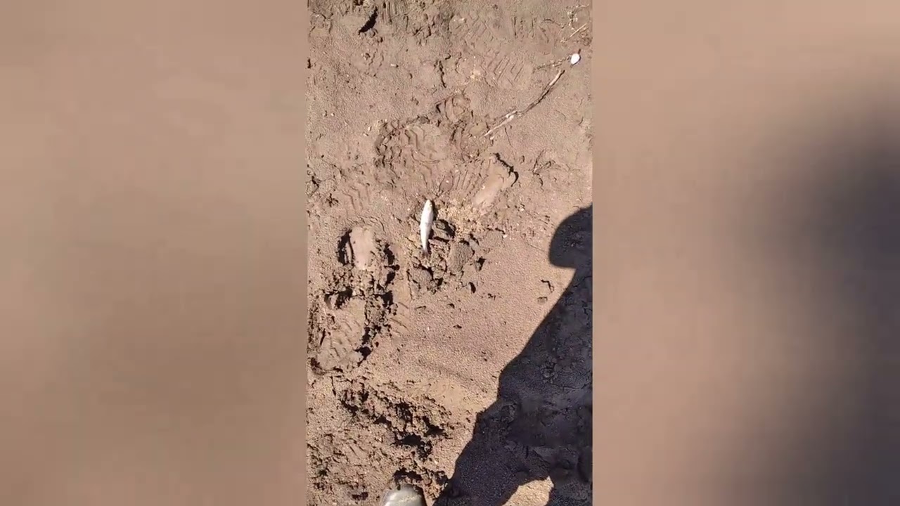 Рыбалка на хариуса в июне 2024 🌊