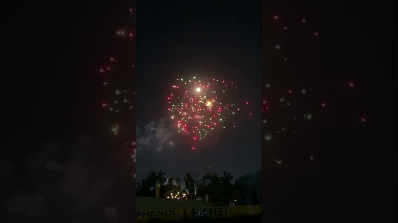 Celebrate the Joy of Diwali 2024 🎆 | Special Short Video