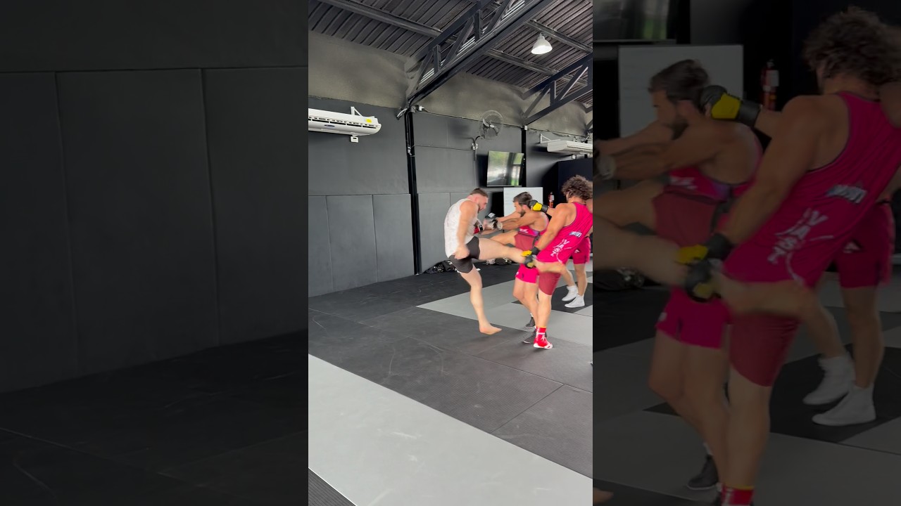 😳ВОРВАЛСЯ НА ТРЕНИРОВКУ! Аловсет Мамиев и Залик накинулись на бойца #драка #конфликт #alfreality