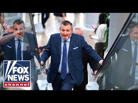 Ted Cruz's Unexpected Prediction Regarding the Government Shutdown