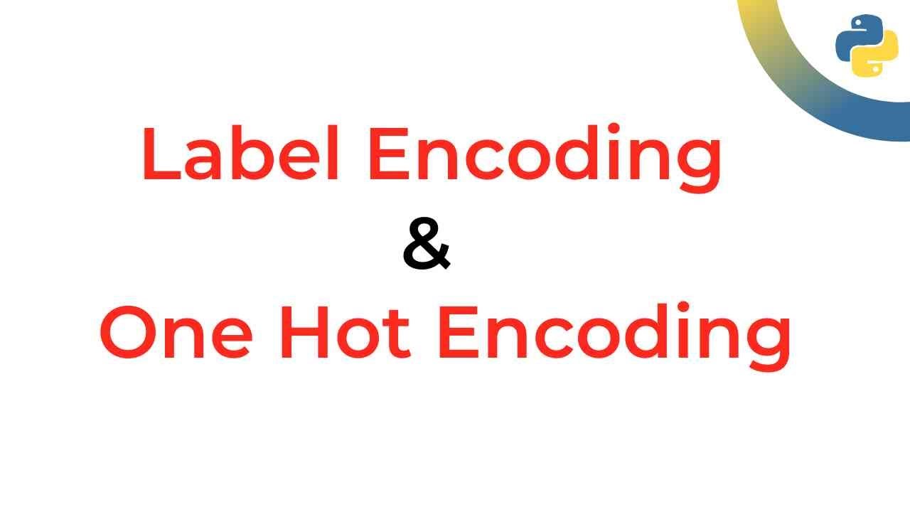 Label & One Hot Encoding in Machine Learning 🔍