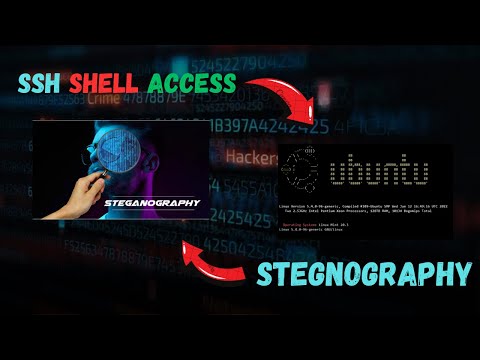 Steganography: The Invisible Encryption