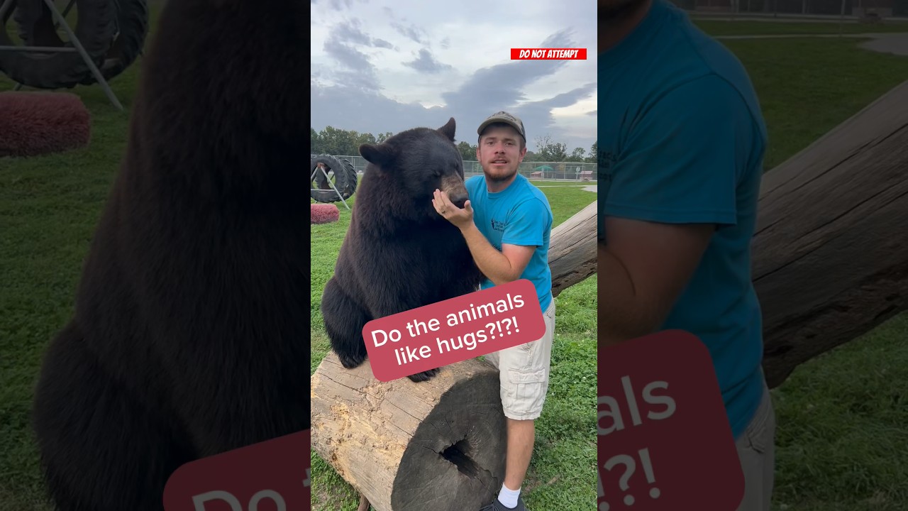 Animals That Love Hugs 🐾