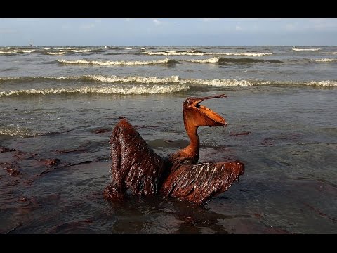 Top 5 Worst Oil Spills in History 🌍