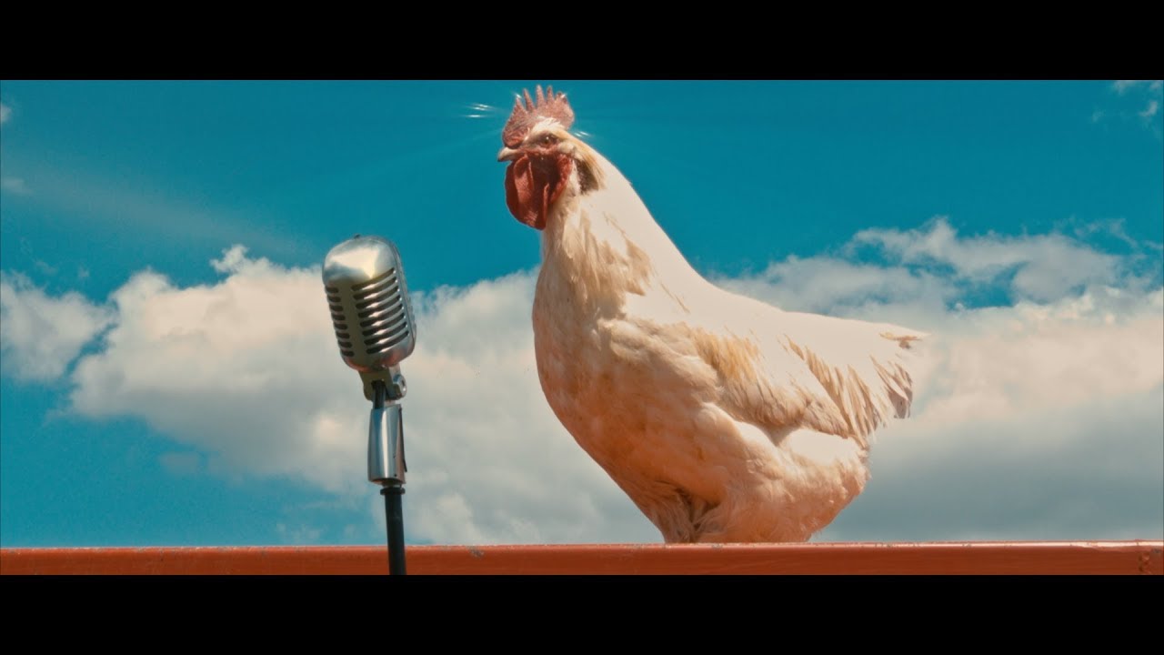 WAZOO & Farmers Celebrate Rural Life 🎶