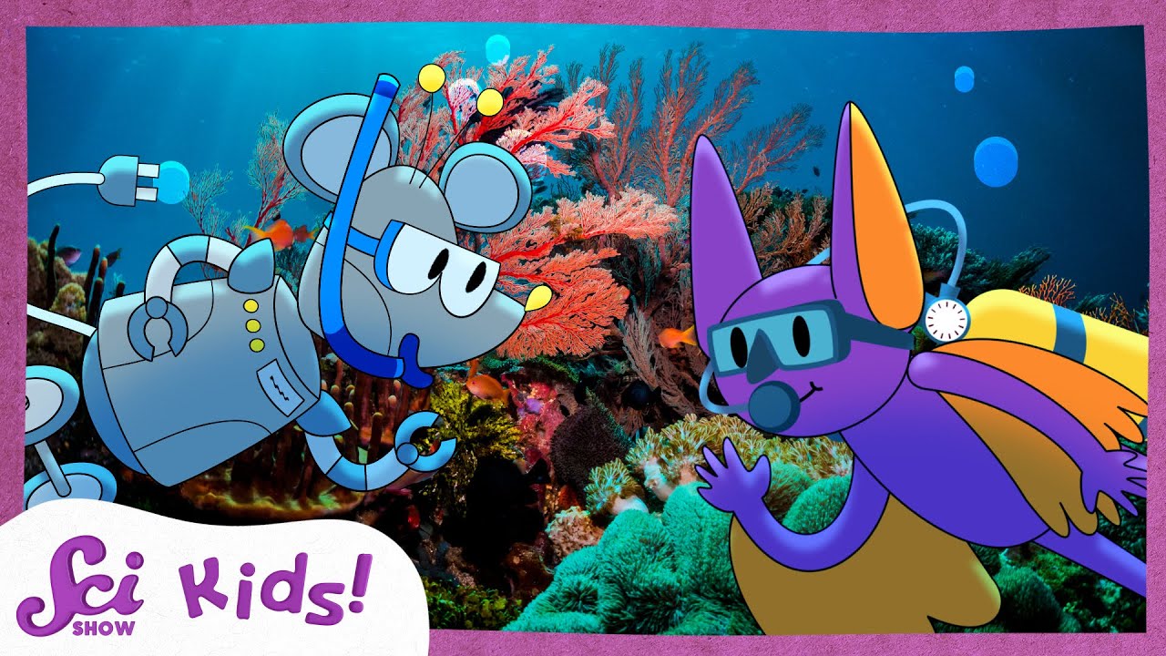 Amazing Ocean Facts for Kids 🌊