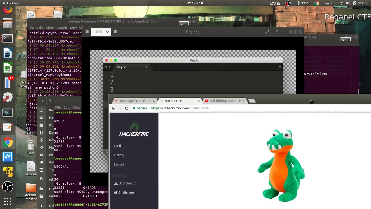 HackerFire CTF Challenge: Discovering Hidden Files 🔍