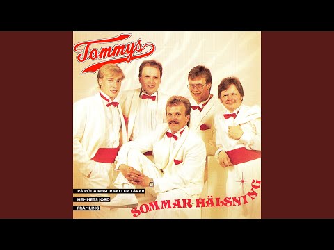 Kärlekens clown (Fool Number One)