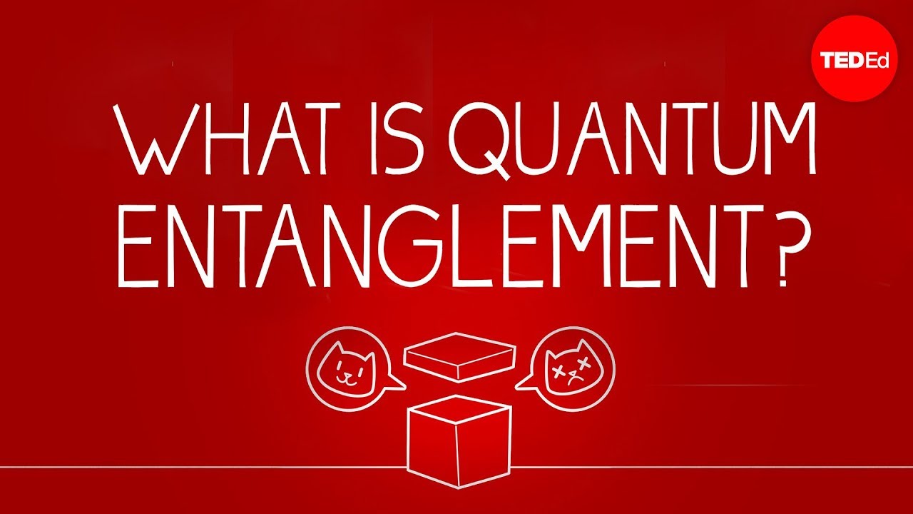 Schrödinger's Cat & Quantum Mechanics 🐱