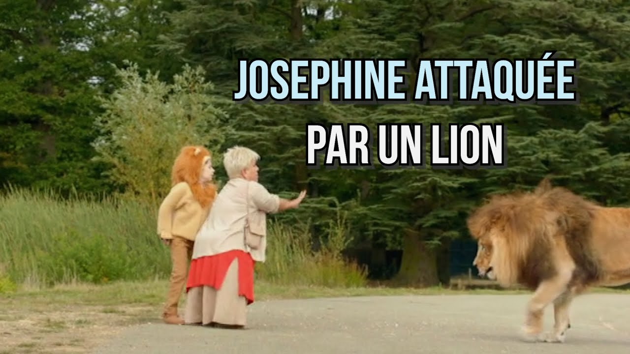Joséphine et le roi de la jungle ! 😂