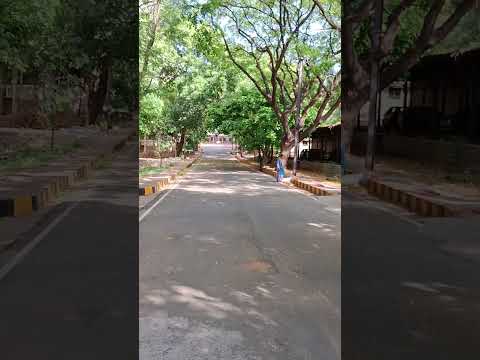 JNTU  Hyderabad Campus #JNTU #campuslife #university #Universitylife #jntuupdates #jntuh #Hyderabad