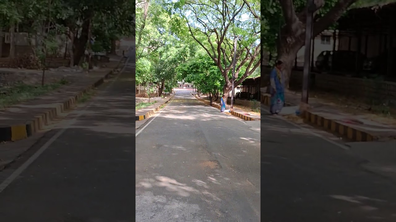 JNTU Hyderabad Campus Overview and Campus Life Highlights