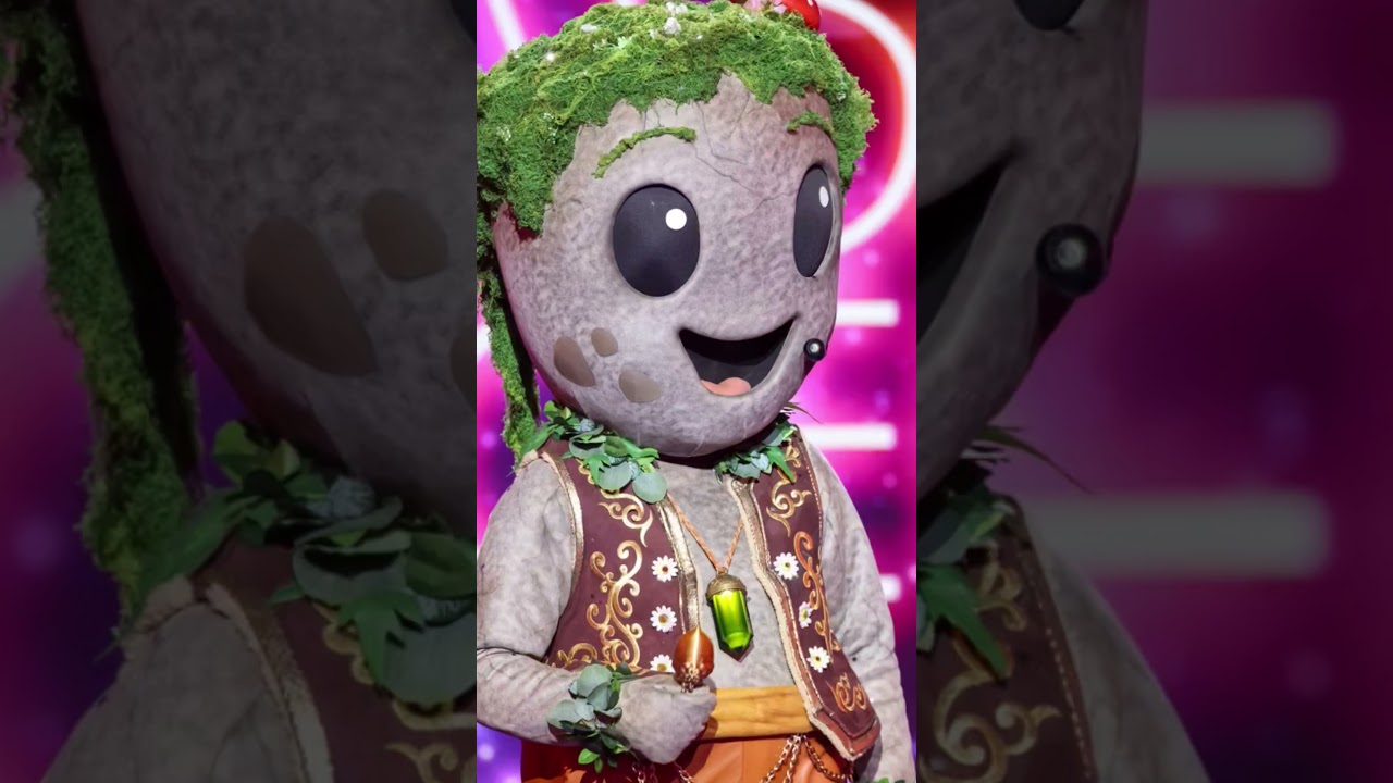Les 4 Costumes du Mask Singer Saison 9 en 2026 🎭