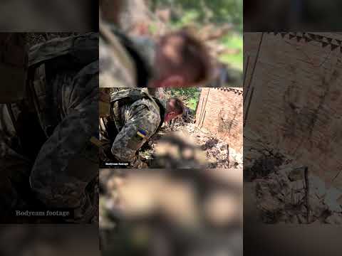 Donbas frontline: What the Ukraine's winter war really looks like