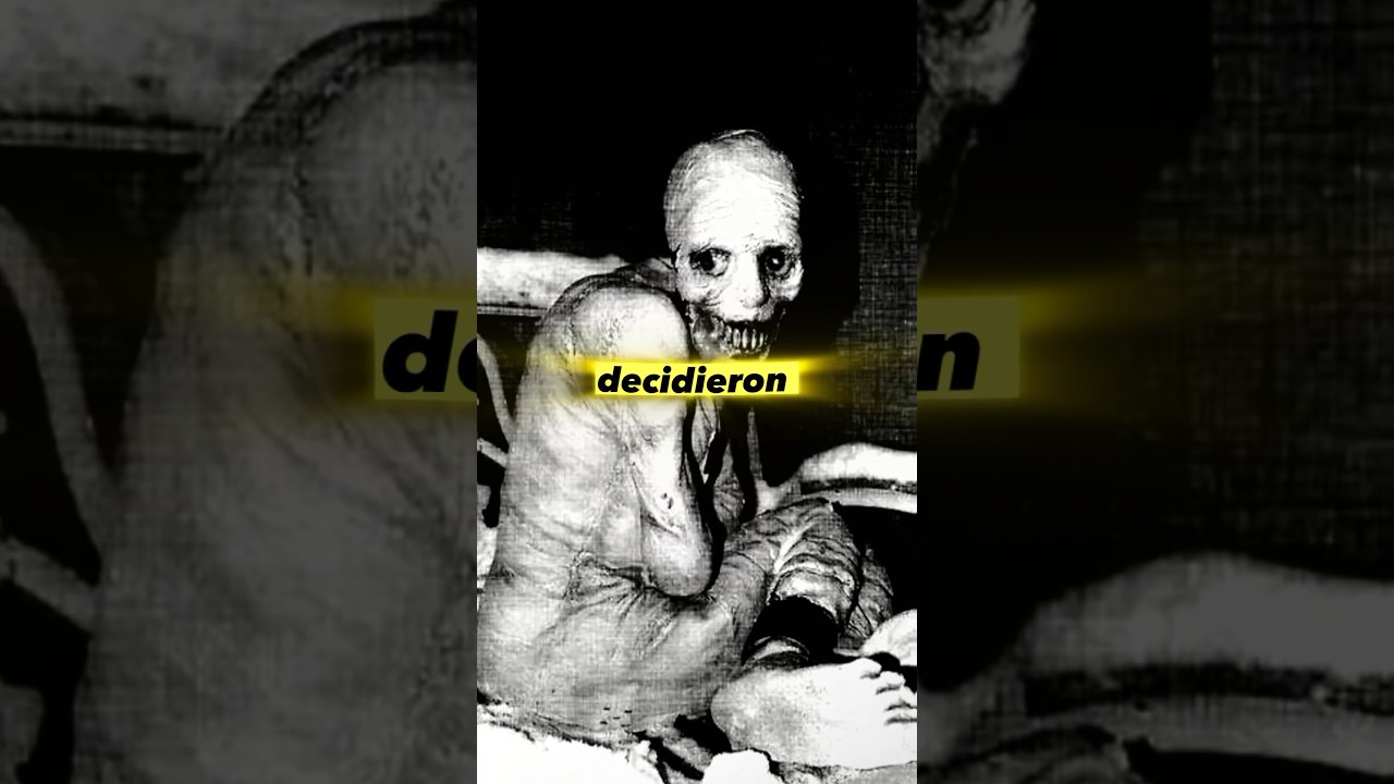 11 Días Sin Dormir: Consecuencias ⚠️