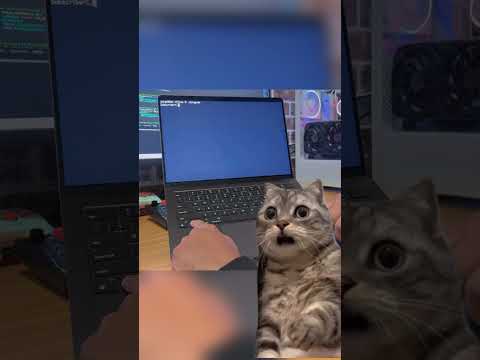 Why Ctrl-C terminate programs?
