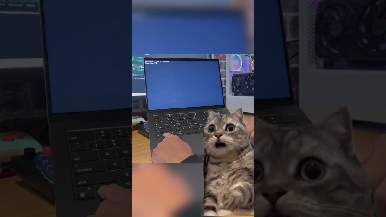 Why Does Ctrl-C Stop Programs? 🤔 | Understanding Signals in Computing